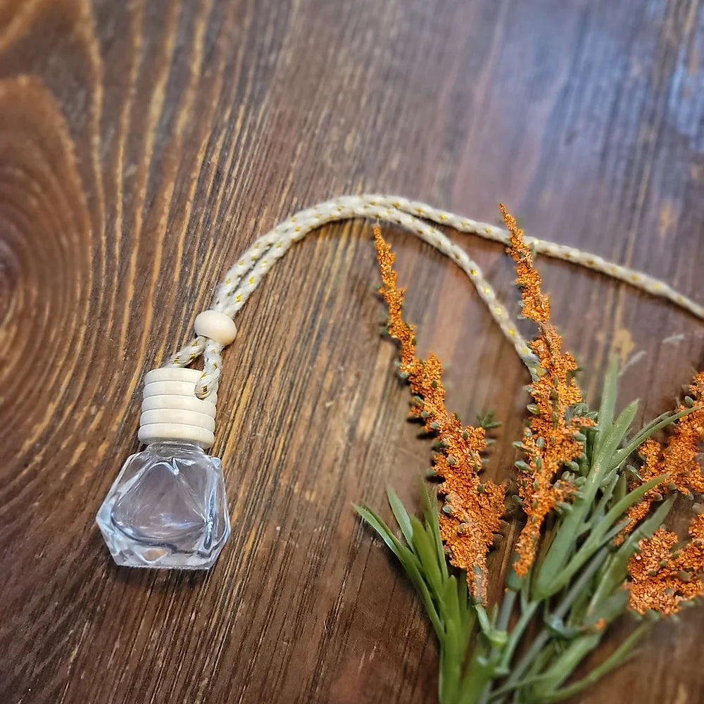Seasonal Reusable Car Fresheners