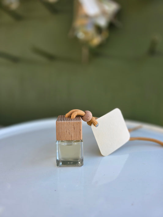 Reusable Car Fresheners